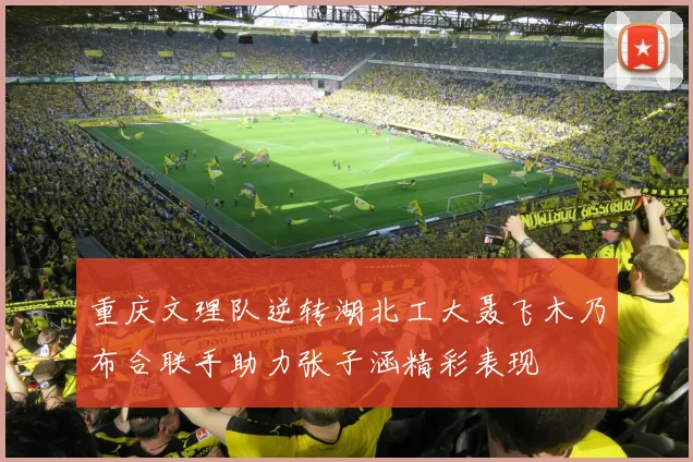 重庆文理队逆转湖北工大聂飞木乃布合联手助力张子涵精彩表现